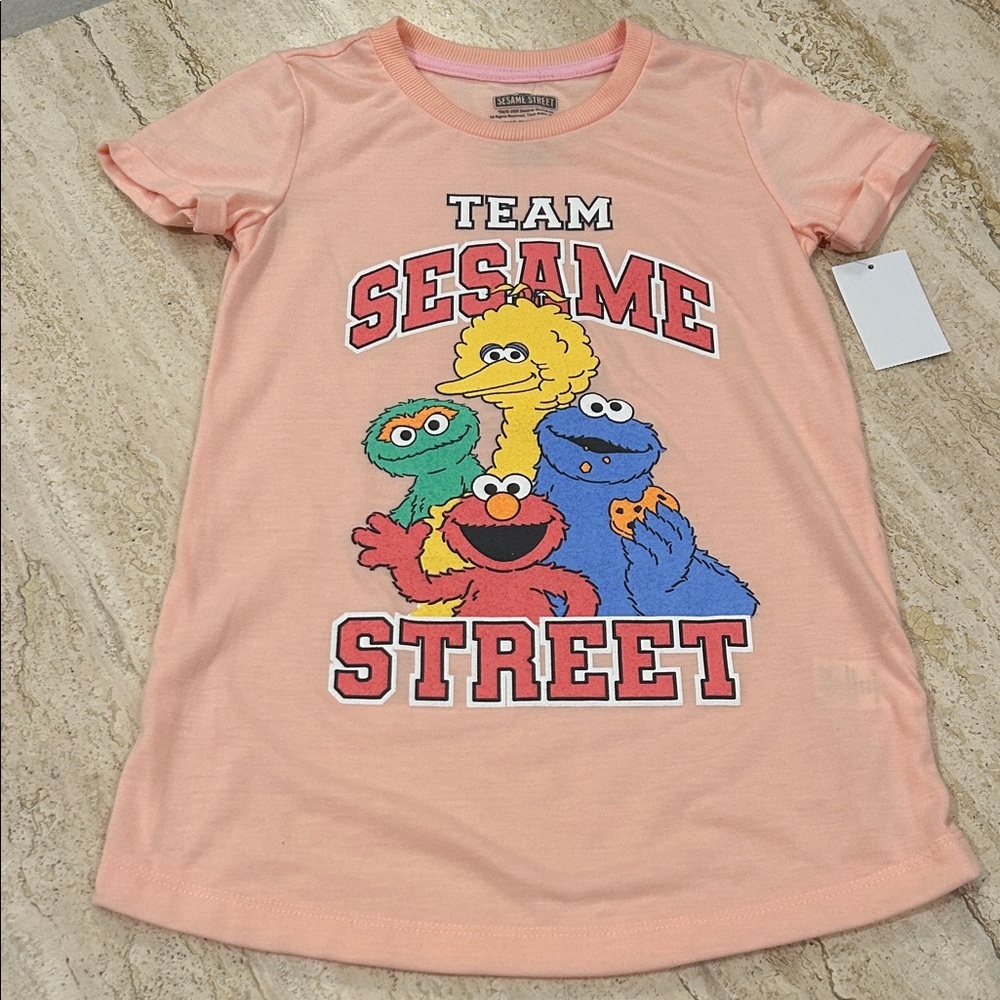 NEW 🆕 Team Sesame Street Nightgown 4/5 years